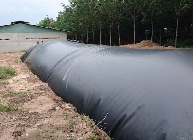 Thi công hầm Biogas bằng màng chống thấm HDPE